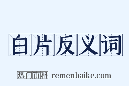 白片反义词是什么意思的图片